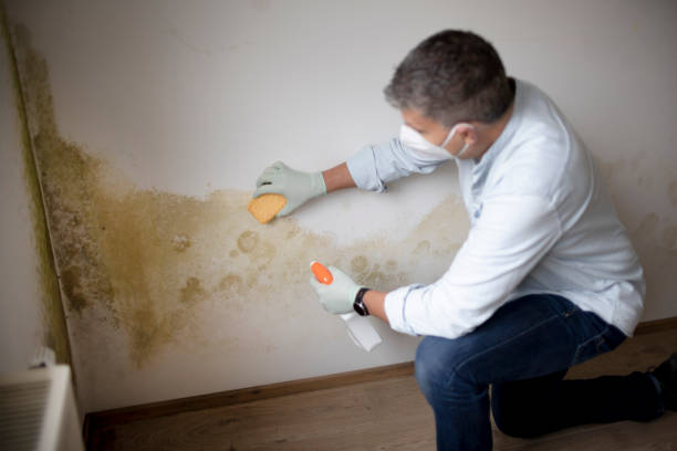 Best Indoor Air Quality Assessment  in Leakesville, MS